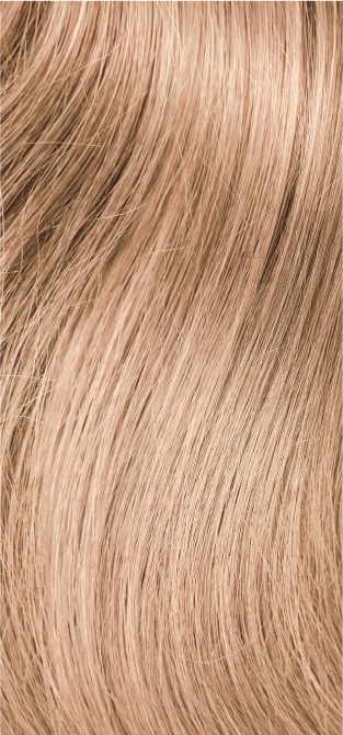 hairtalk Standard_27