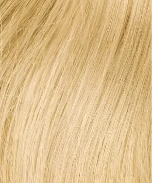 hairtalk Standard_24